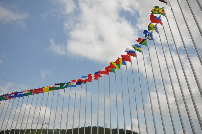 ����������U�Ŀ